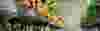 csm seepex casestudy header smooth operator 