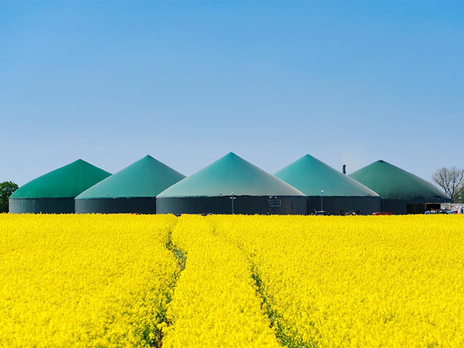 Text-Appl-Biogas.jpg