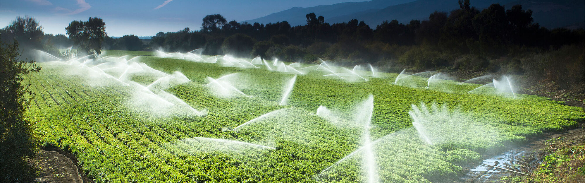 csm seepex casestudy header southern salad 