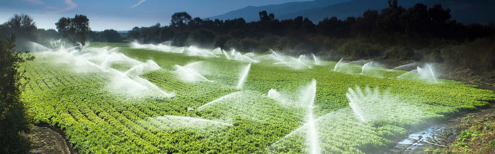 csm seepex casestudy header southern salad
