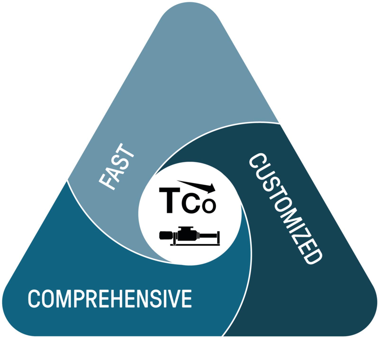 csm digital solutions tco blue en