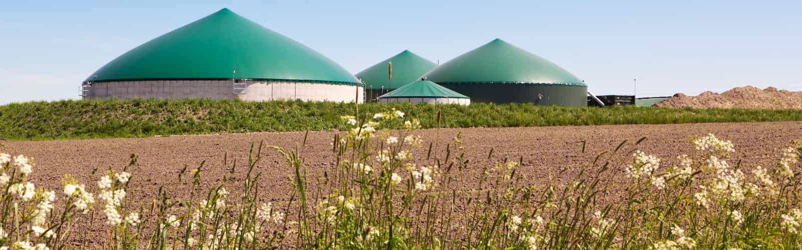 spx application biogas d