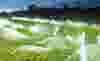 csm-seepex-casestudy-teaser-southern-salad-300x182-c03d3d1a3a.jpg
