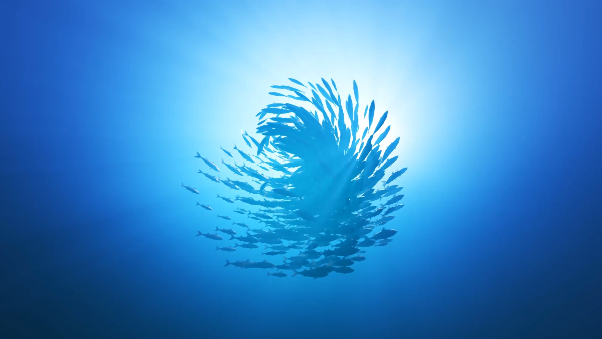 Fishing Image