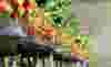 csm-seepex-casestudy-header-smooth-operator-2560x800-e8aec8b303.jpg