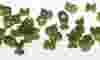  micromolding.jpg