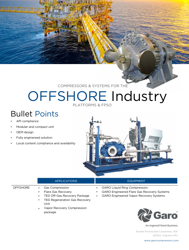 Cover-FLYER OFFSHORE FPSO 2025.png