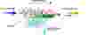 membrane-scheme.png