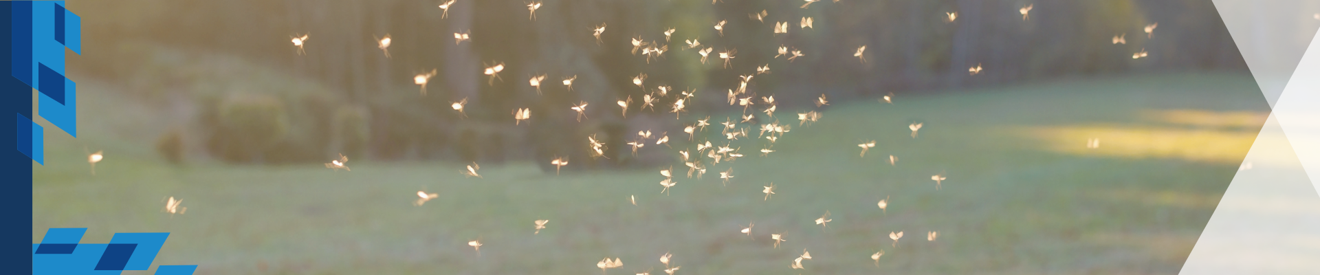 Oberdorfer - Applications - Agriculture - Mosquito Control
