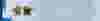 Oberdorfer - Gear Pumps - Banner