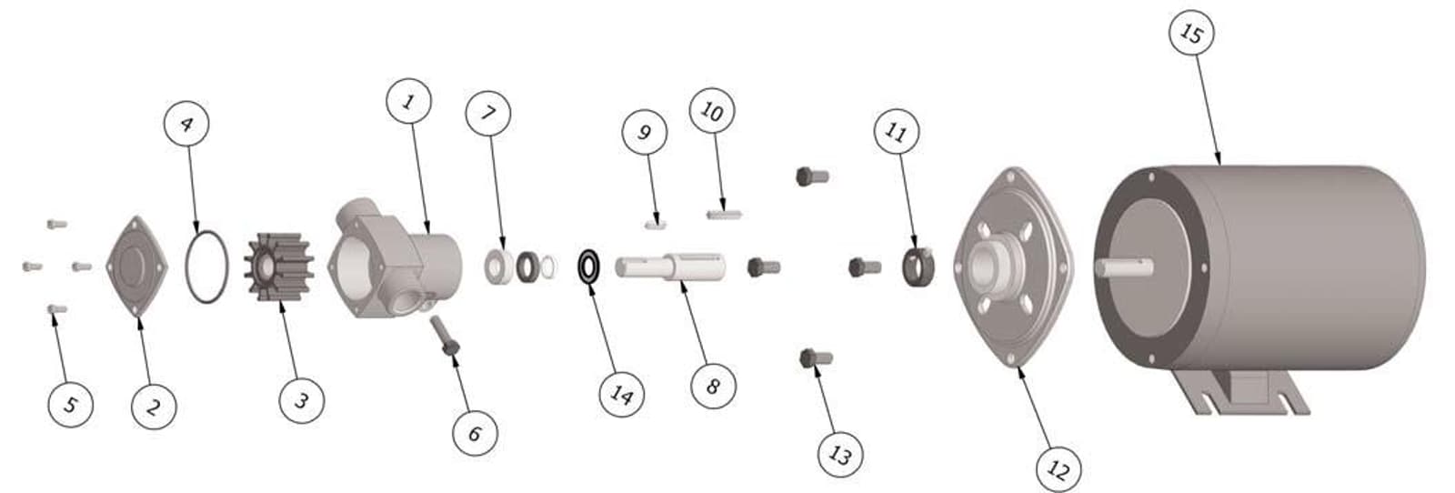 Exploded View N305M