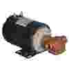 flexible-impeller-pump-n305m.jpg