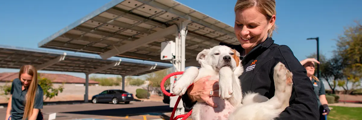 help-nonprofits-go-solar.jpg