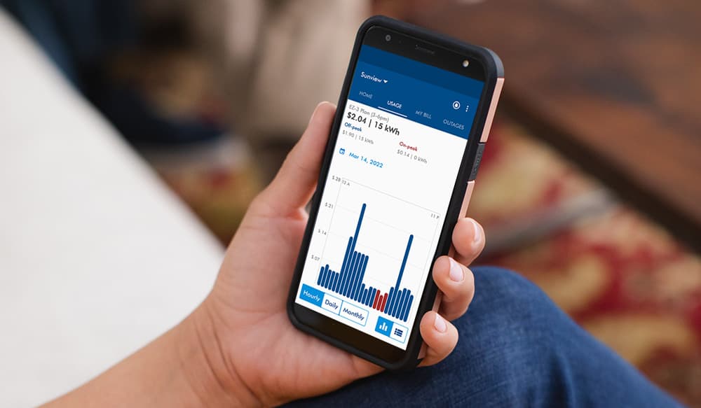 SRP Power App mobile screen showing daily energy usage and cost