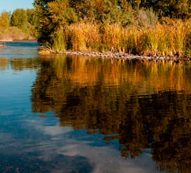 Meta 2035: conservar 5,000 millones de galones de agua