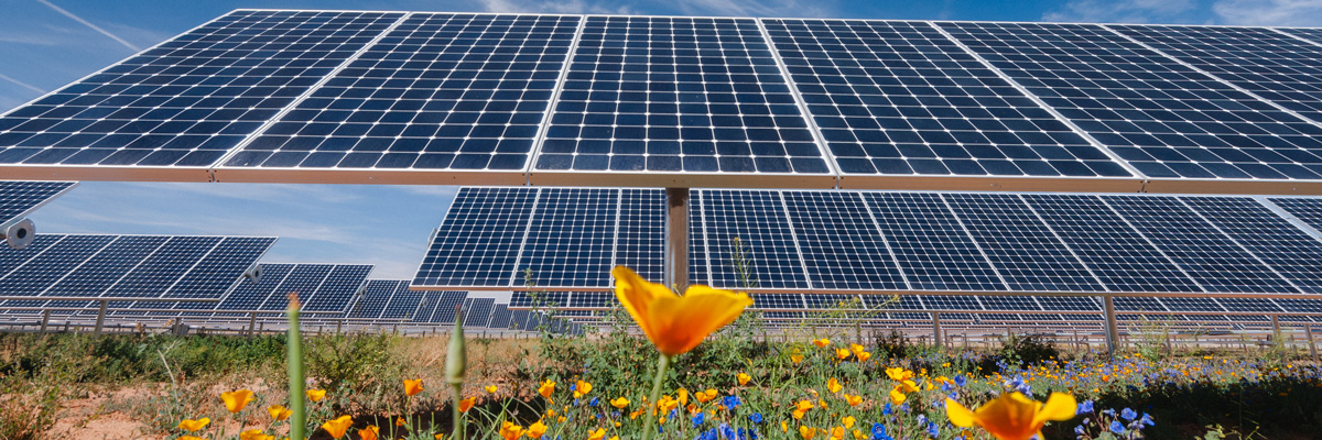 Renewable-energy-solutions-1.jpg