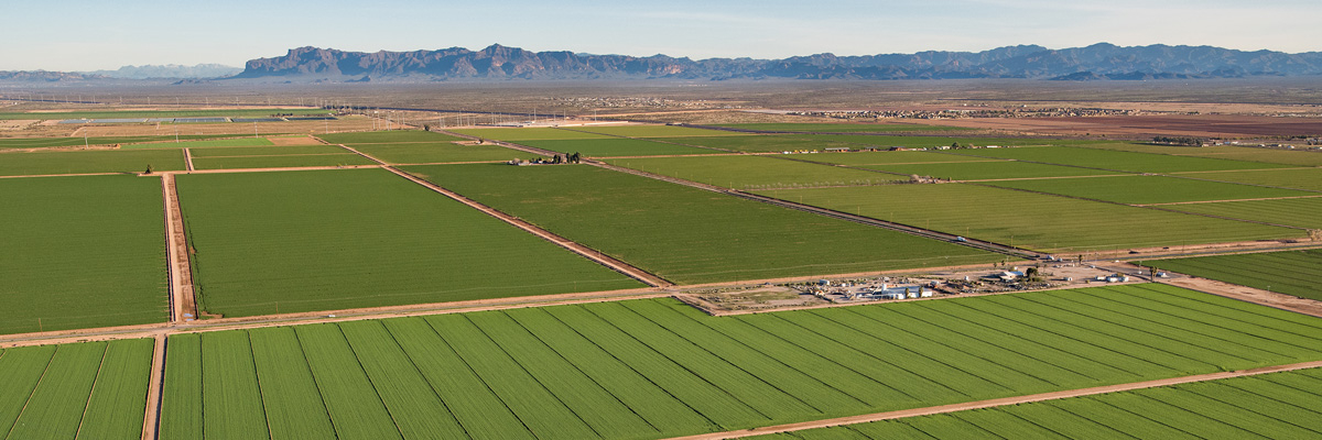 municipal-and-commercial-agricultural.jpg