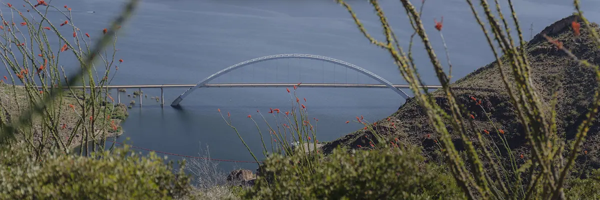 Roosevelt Lake