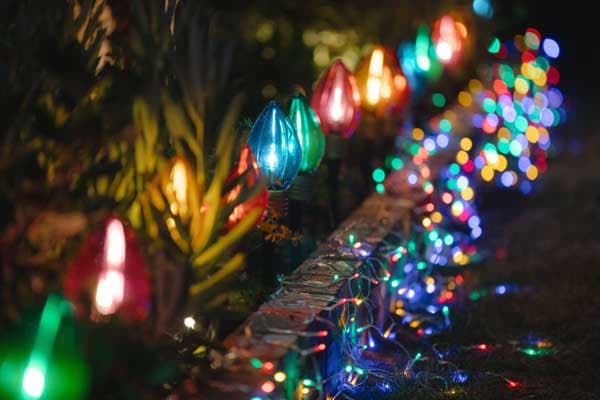 outdoor lights on bushes