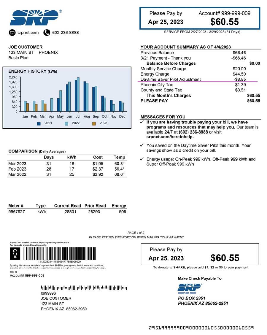 Energy History section of TOU Daytimer bill