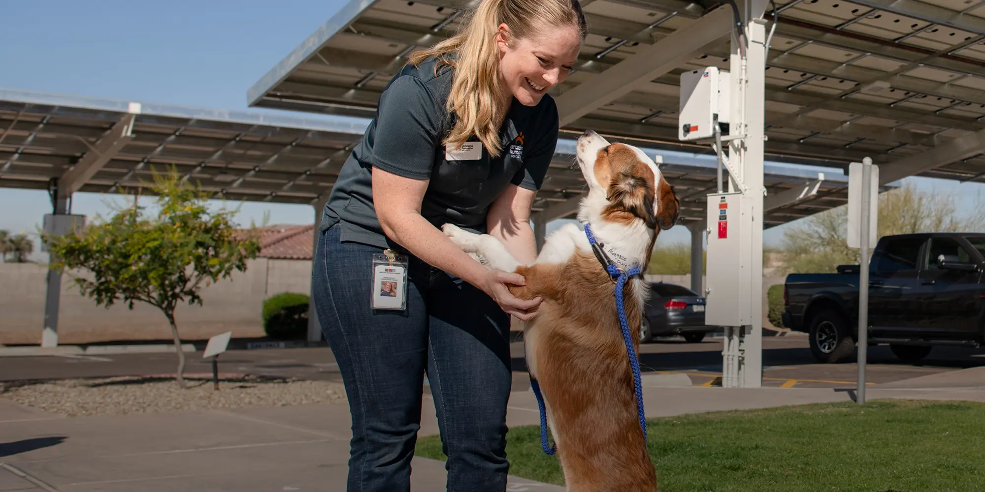 arizona-humane-society-carousel-2.jpg