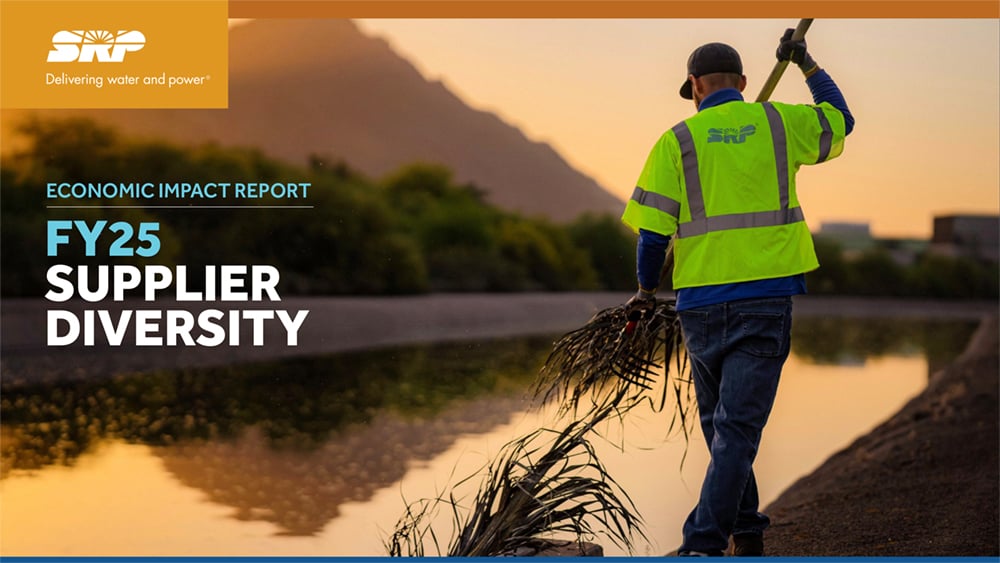 SRP Economic Impact Report