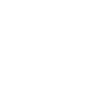 holiday light icon