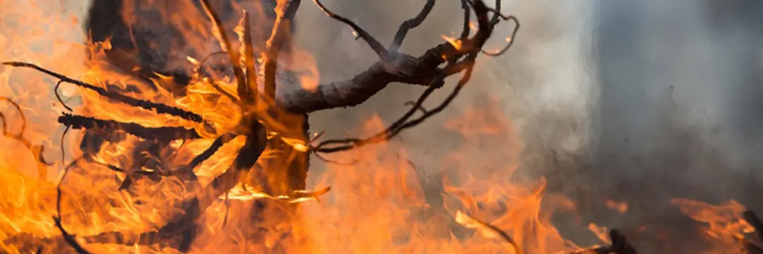 preventingfire1_HFI.jpg