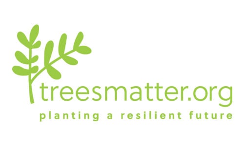 trees-matter.jpg