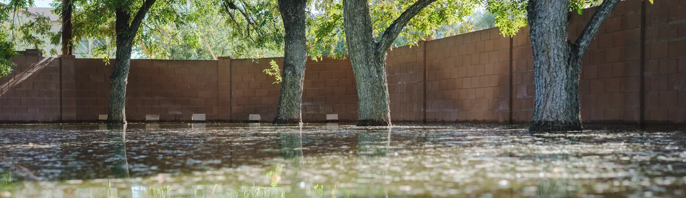 hero_HowFloodIrrigationWorks.jpg