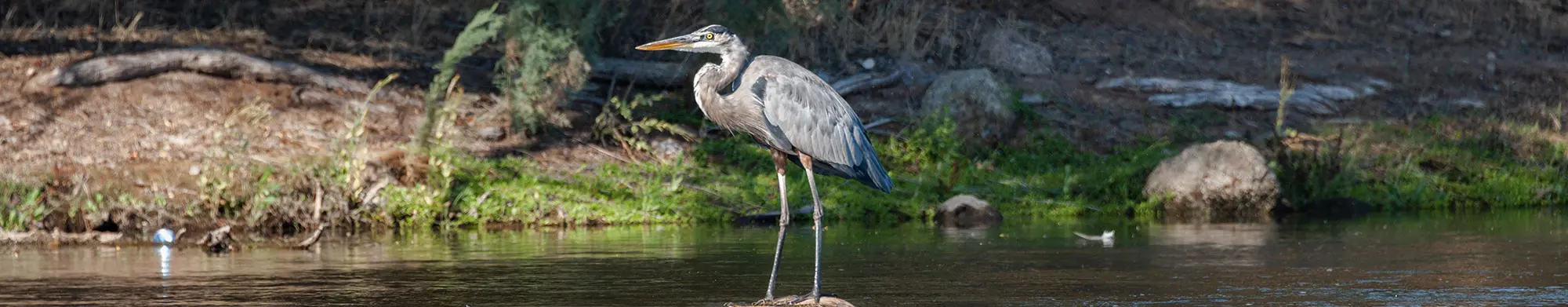 habitat-conservation-header.jpg
