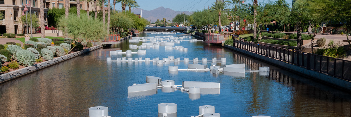 canal-special-event-licensing-request.jpg