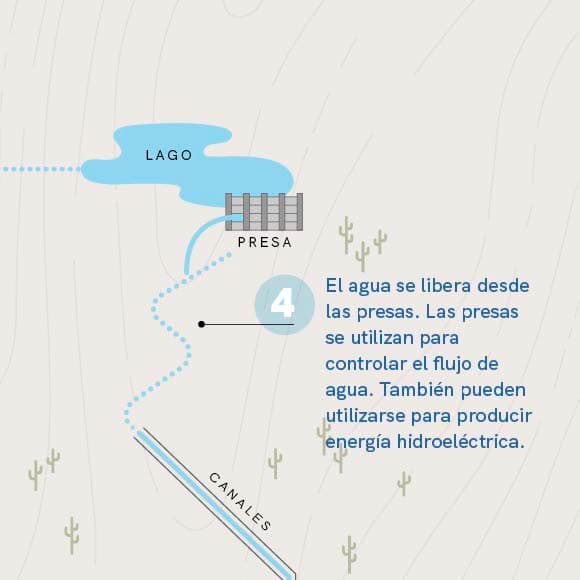 Liberados de las presas