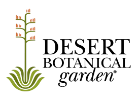 Desert Botanical Gardens