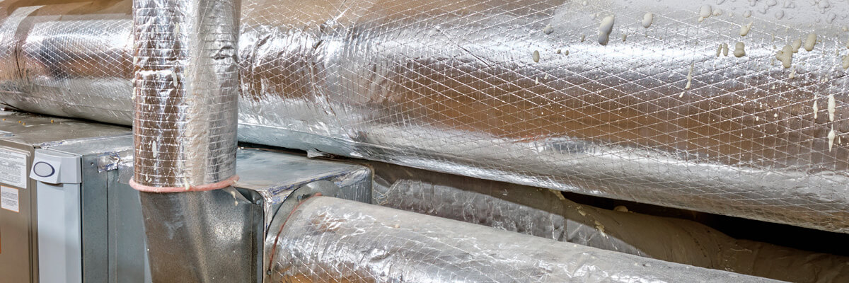 Air duct test, seal and repair rebate