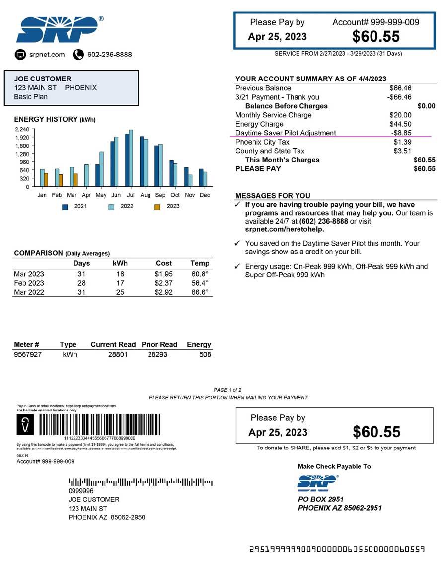 Customer Information section of TOU Daytimer bill