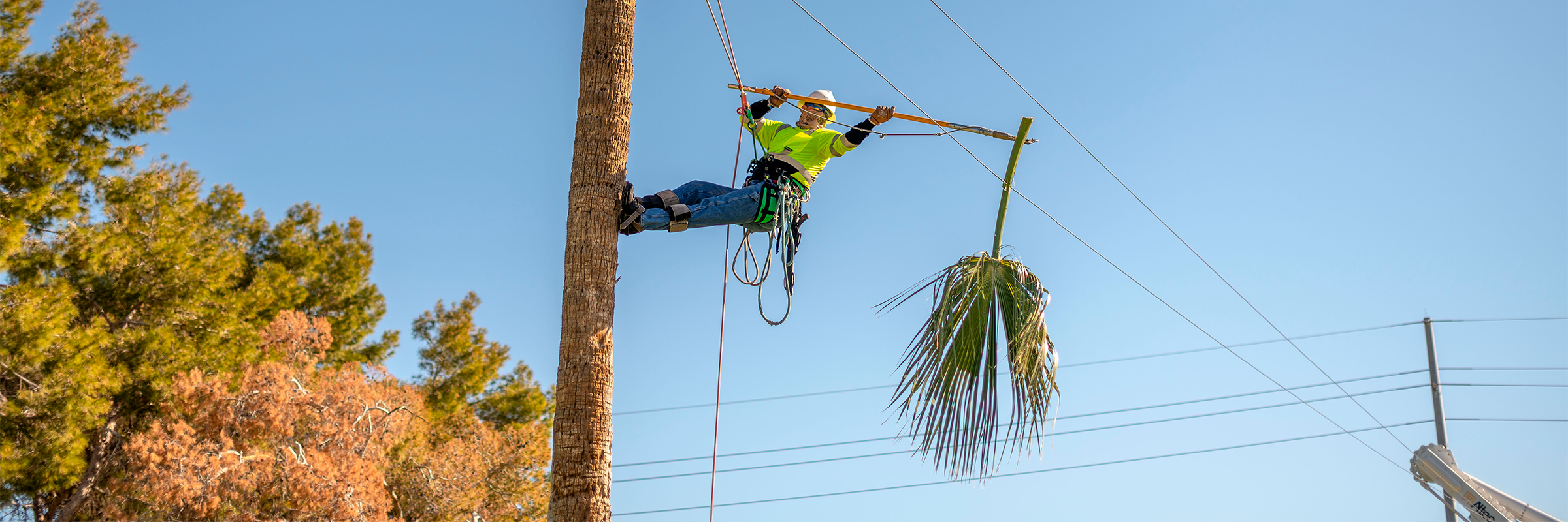 Electrical_Safety_Workshop_Header.png