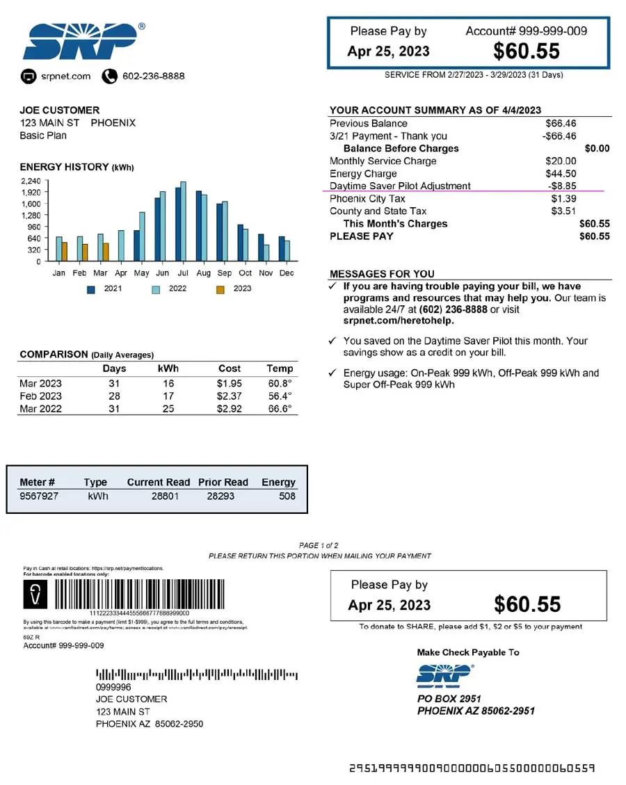 Meter information section of TOU Daytimer bill