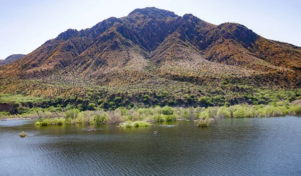 horseshoe-lake-habitat.jpg