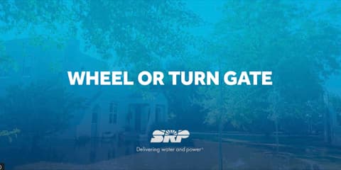 Wheel and Turn Gate 816109523 .jpg