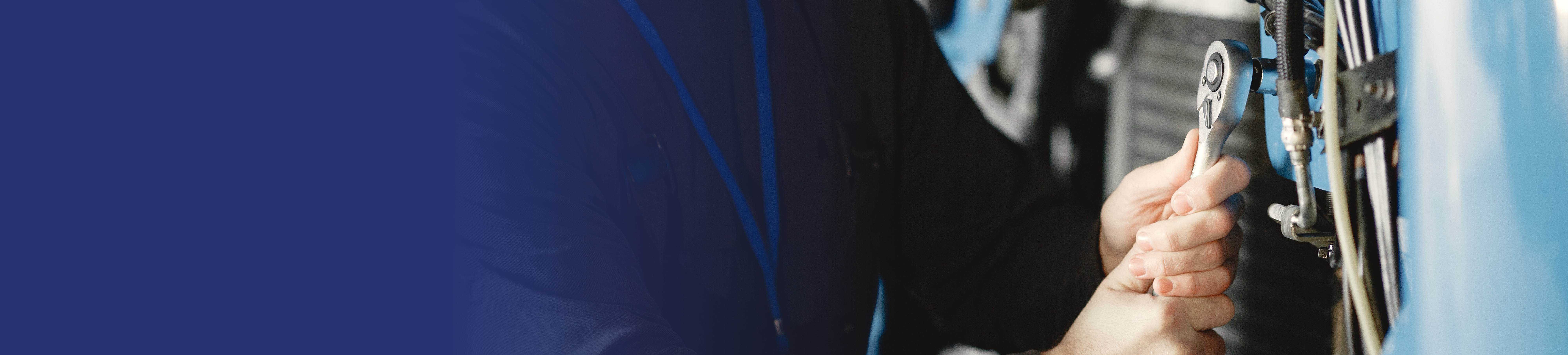 PG_Web_02.jpg