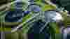 AdobeStock_796582062_Preview.jpeg