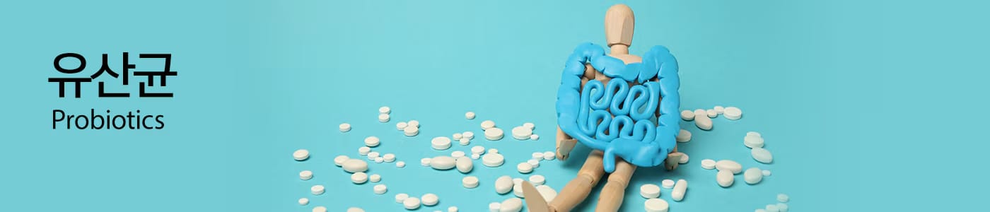 유산균