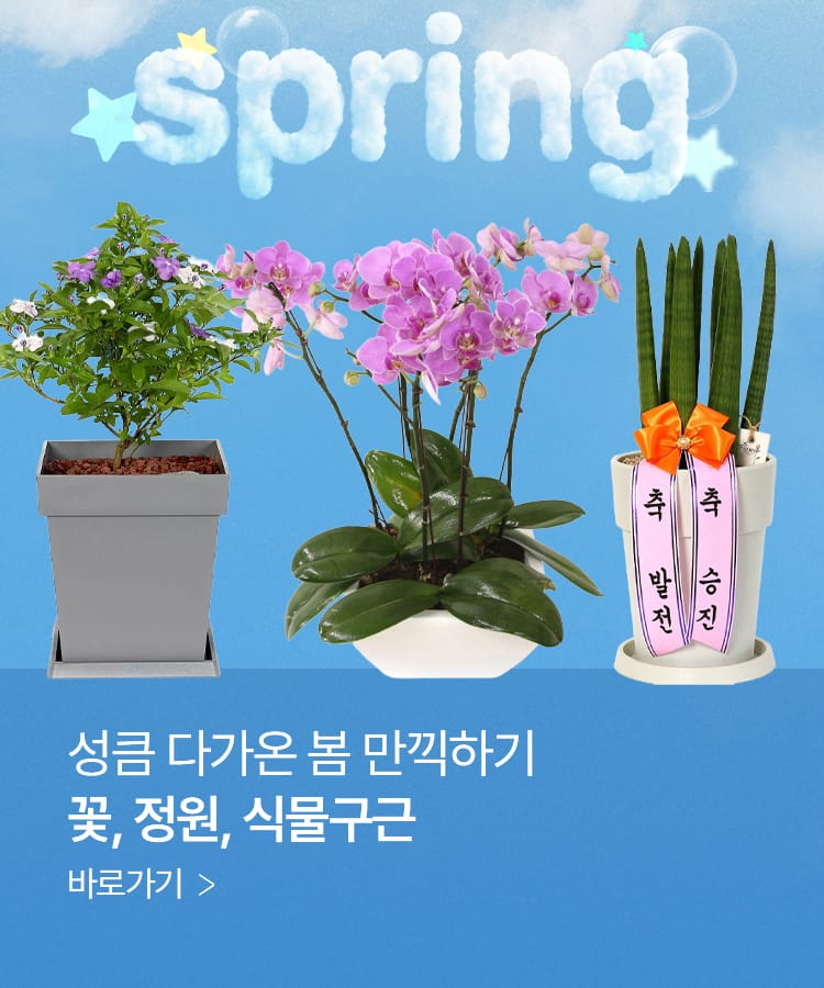 화이트 데이 기프트 아이디어