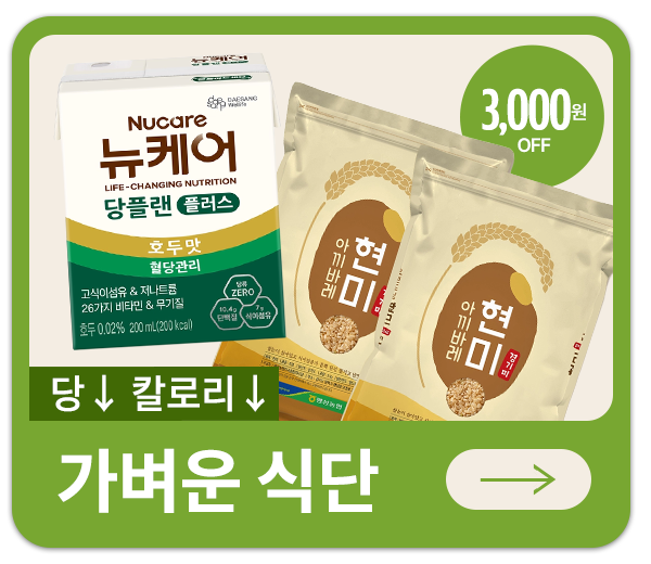 가벼운 식단