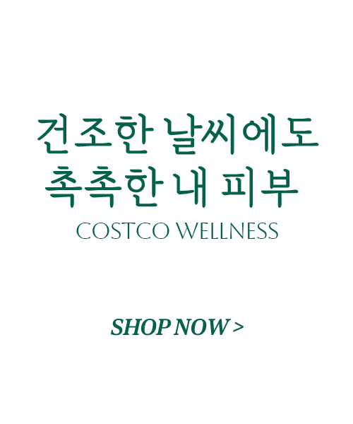 웰니스