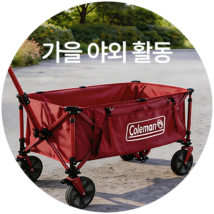 가을 야외활동