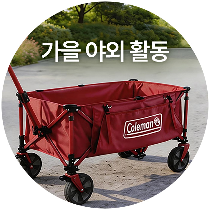 가을 야외활동