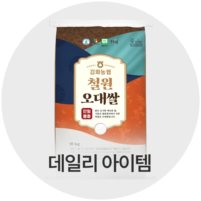 매일일상템