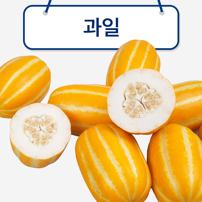 과일